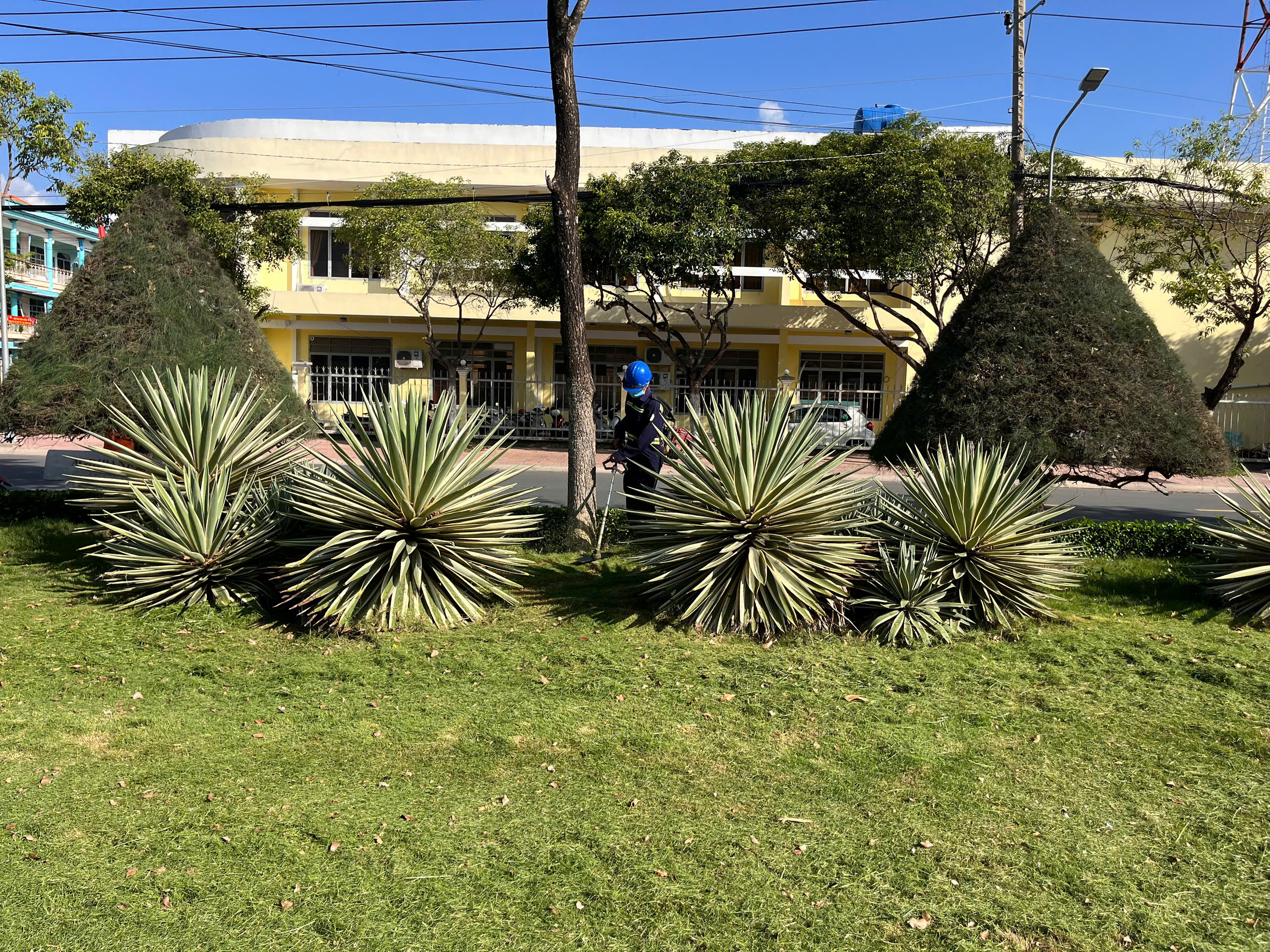 Slideshow Image 1