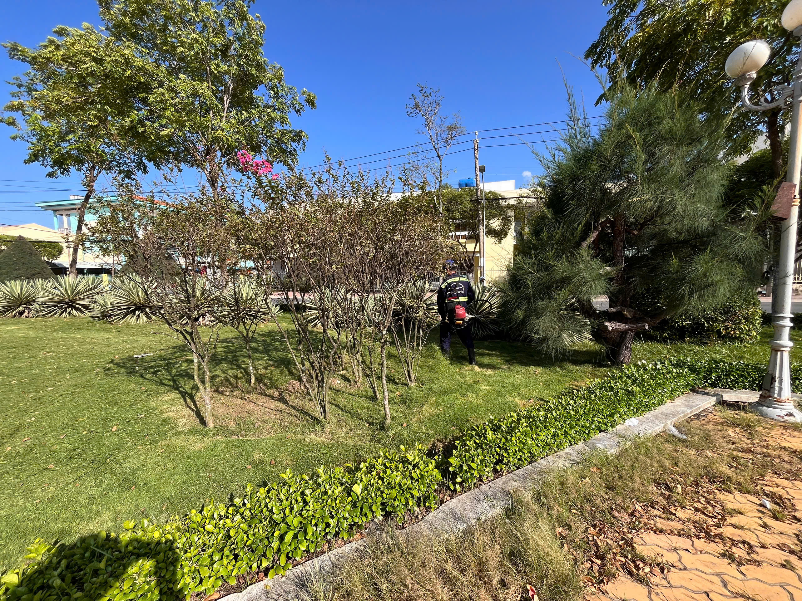 Slideshow Image 1