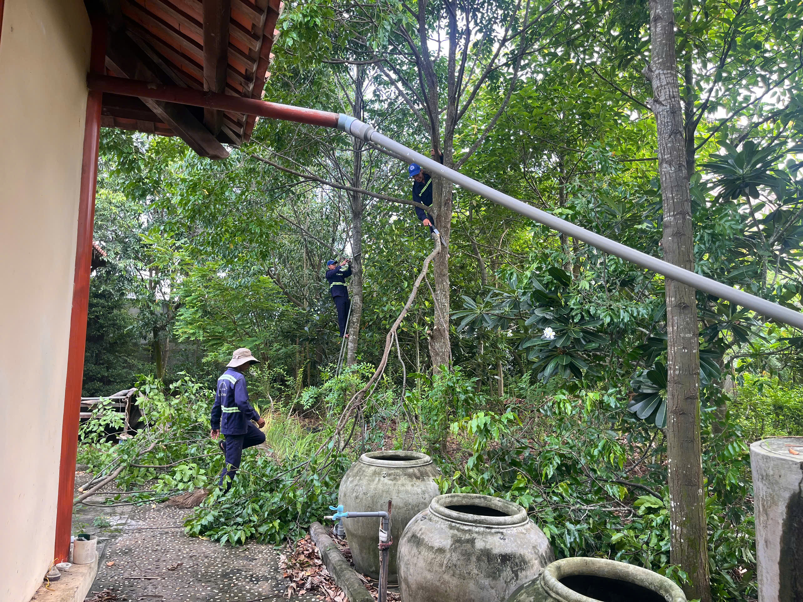 Slideshow Image 1