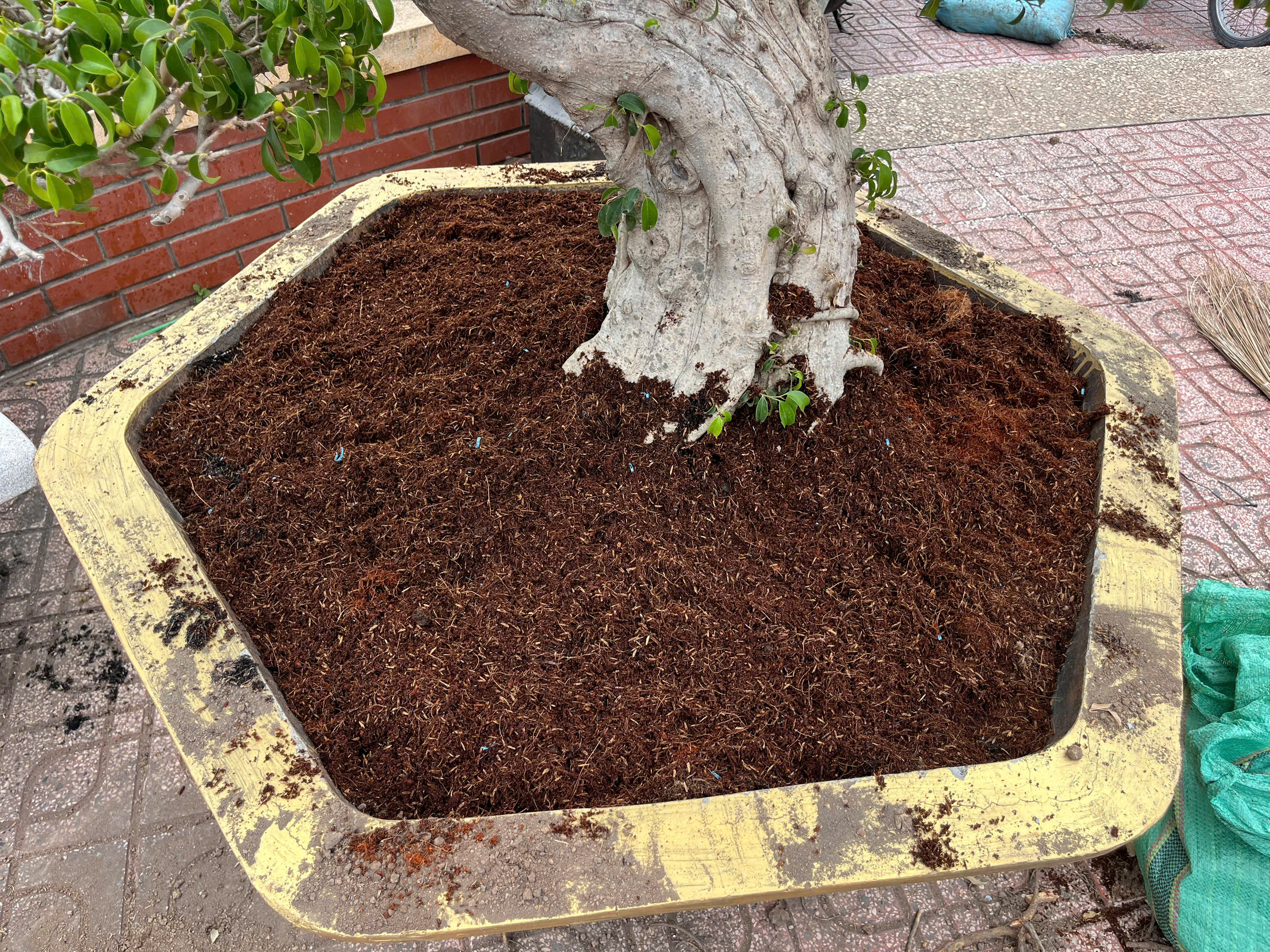 Slideshow Image 1
