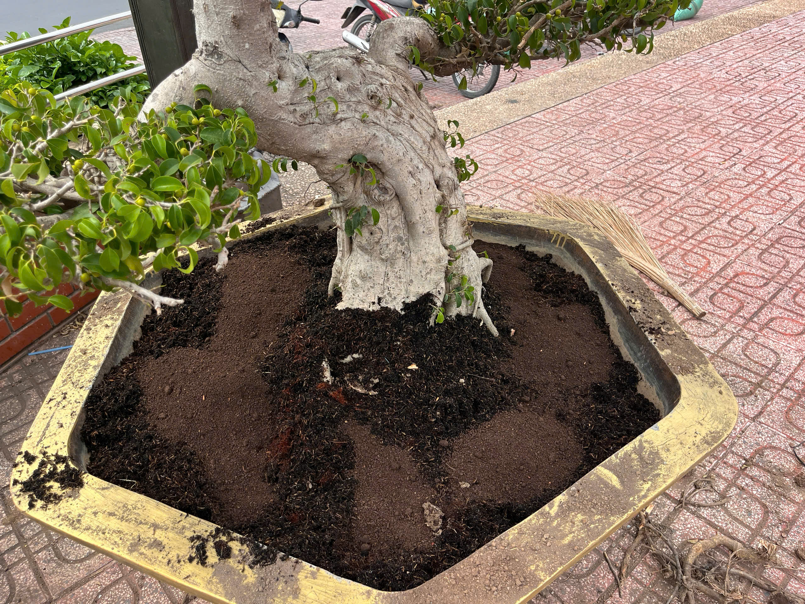 Slideshow Image 1