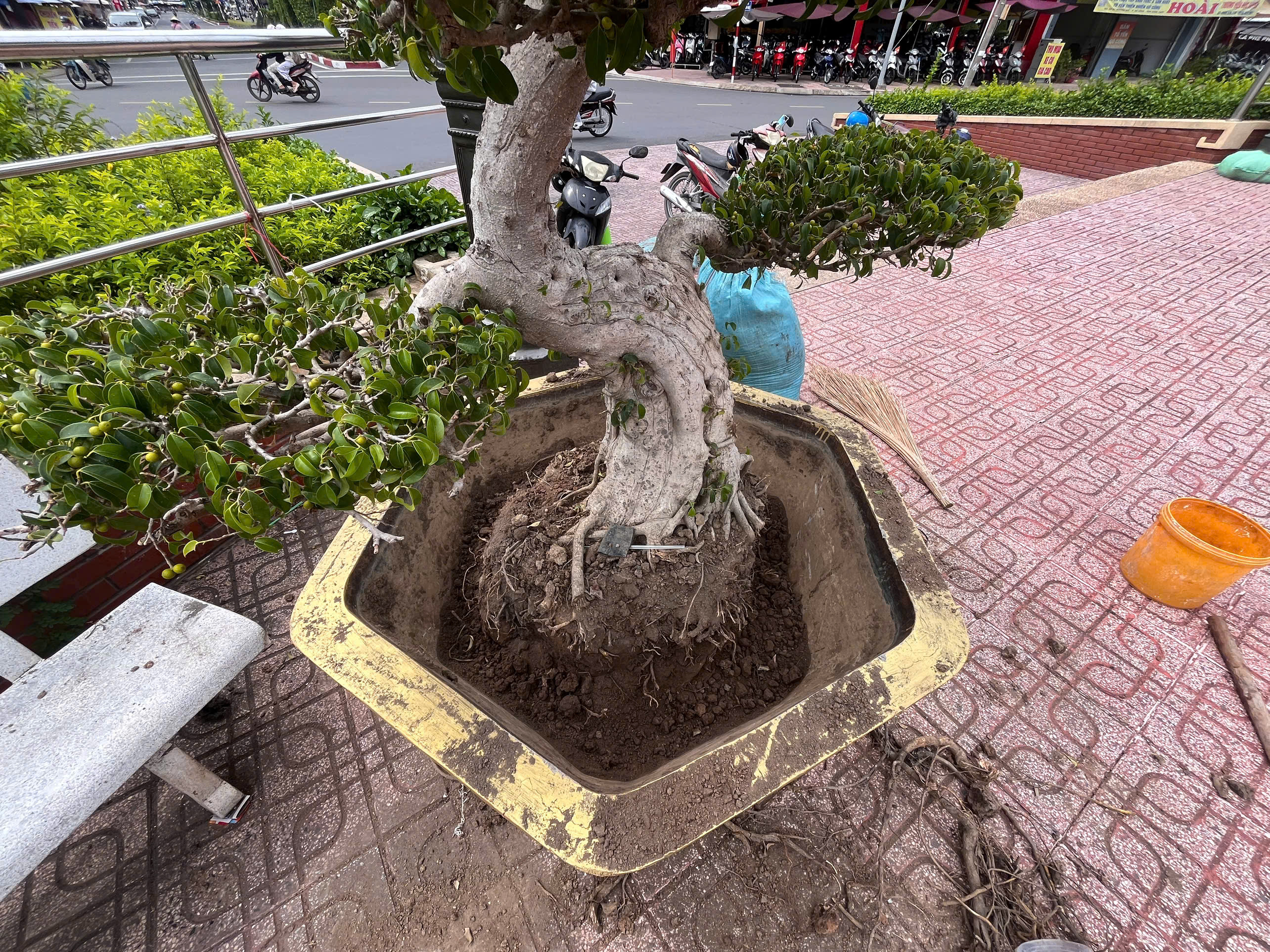 Slideshow Image 1
